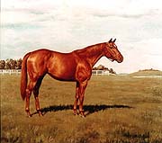 7bb70-busherpainting