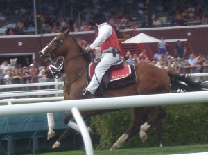 outrider catching loose horse