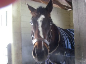 Greeley's Legacy Akindale