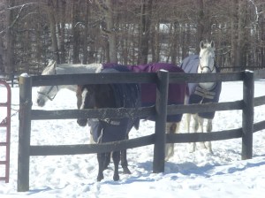 Remington Evening Attire Tacticianor