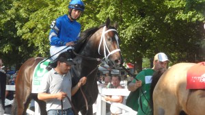 It's Tricky paddock Coaching Club