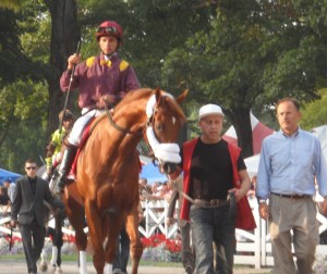 Jackson Bend paddock Forego