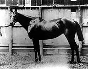 Firenze NMR Keeneland-Cooke