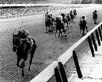 Dark Mirage winning the Acorn. NYRA/Bob Coglianese
