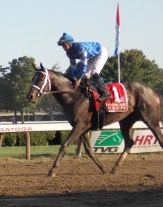 It's Tricky Personal Ensign