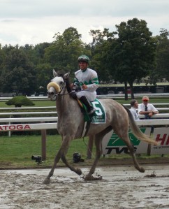 Winter Memories Castellano Diana