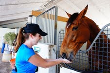 Catherine Toner offers Bold Hawk a draught of Guinness. Photo courtesy Catherine Toner. 