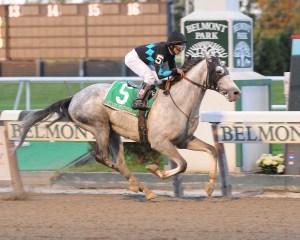 Stud Muffin & Alan Garcia winning the Empire Classic, 2008. Photo credit NYRA/Adam Coglianese