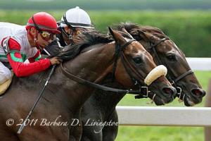 Spooky Mulder and Callmetony, copyright Barbara Livingston and used with permission.