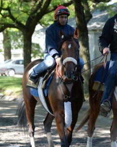 Wicked Strong and Kelvin Pahal. Photo credit NYRA/Susie Raisher