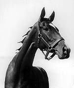 Property of the National Museum of Racing and used with permission. 