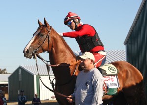California Chrome at Parx with exercise rider Willie Delgado and assistant trainer Alan Sherman. Photo credit Bill Denver/Equiphoto