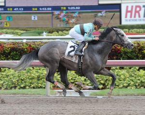 Gorgeous Bird and Joel Rosario at Gulfstream Park. Photo credit Leslie Martin