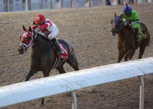International Star and Miguel Mena winning the Grade III Lecomte. Amanda Hodges Weir/Hodges Photography