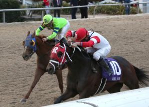 International Star and Miguel Mena takes the Risen Star at Fair Grounds. Lou Hodges Jr/ Hodges Photography