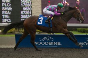 Ami's Flatter and Luis Contreras. Burns photo. 