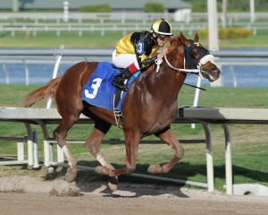 Madefromlucky and John Velazquez at Gulfstream Park. Photo by Lauren King.
