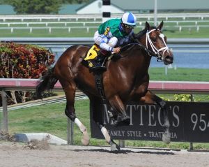 Materiality and John Velazquez at Gulfstream Park. Kenny Martin Martin photo