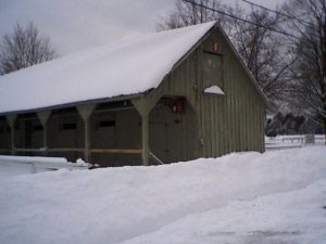 February photo taken by Michele Jennings