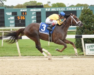 Carpe Diem and John Velazquez in the Tampa Bay Derby. SV Photography