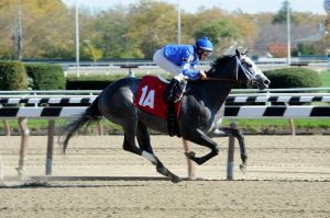 Frosted and Irad Ortiz Jr. NYRA/Adam Coglianese