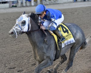 frosted credit chelsea durand2 Rosario Wood