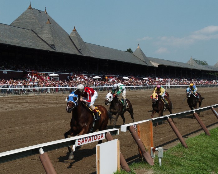 The grandstand at Saratoga Race Course in the background, with four horses in a line running towards the finish line beneath a clear blue sky