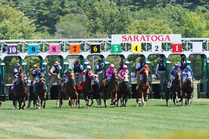 A field of 10 horses breaks from the starting gate on the turf course at Saratoga Race Course.