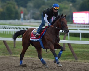 American Pharoah and George Alvarez. Photo NYRA/Susie Raisher