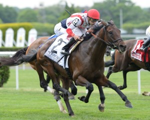 Innovation Economy winning the Belmont Gold Cup. He was one of three horses euthanized Saturday at Saratoga. Photo credit NYRA/David Alcosser