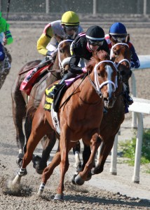 I'm A Chatterbox & Florent Geroux en route to winning the Fair Grounds Oaks.  Photo by Lynn Roberts/Hodges Photography