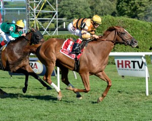 Wise Dan and John Velazquez. NYRA/Adam Coglianese