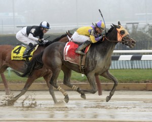Saythreehailmary's and Manny Franco take the Ladies Handicap. Photo credit NYRA