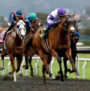 Frank Conversation and Mario Gutierrez take the California Derby. Photo courtesy Santa Anita/Golden Gate Fields