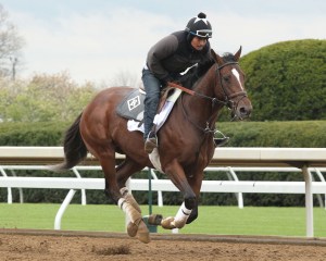 Brody's Cause training at Keeneland. Keeneland photo.