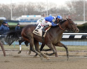 Shagaf credit susie raisher2