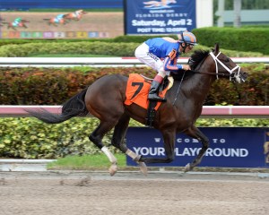 Zulu and John Velazquez. Gulfstream Park photo. 