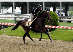 Maryland Jockey Club photo