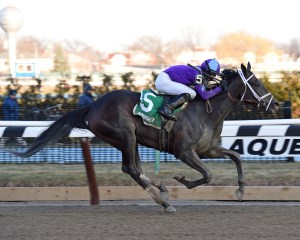 Mo d'Amour and Chris DeCarlo winning the Busher at Aqueduct. NYRA/Chelsea Durand