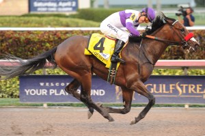 Nyquist and Mario Gutierrez, the Florida Derby. Gulfstream Park photo. 