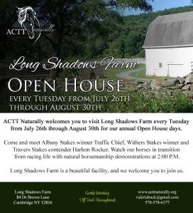 Long Shadows Open House