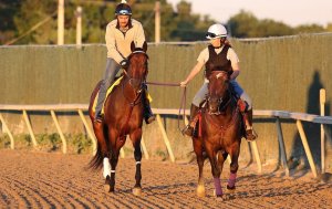 Kentucky Derby winner Nyquist and exercise rider Jonny Garcia ponied at Parx by Brandy Steenson. Photo: Taylor Ejdys/Equi-Photo