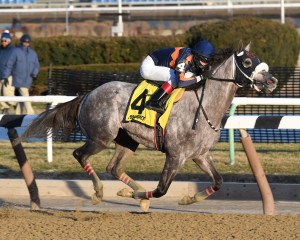 El Areeb and Trevor McCarthy in the Withers. Photo NYRA/Susie Raisher