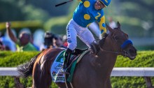 Jockey Victor Espinoza, wearing blue silks with yellow dots and a yellow 'z,' celebrates aboard American Pharoah after winning the Triple Crown at Belmont Park.