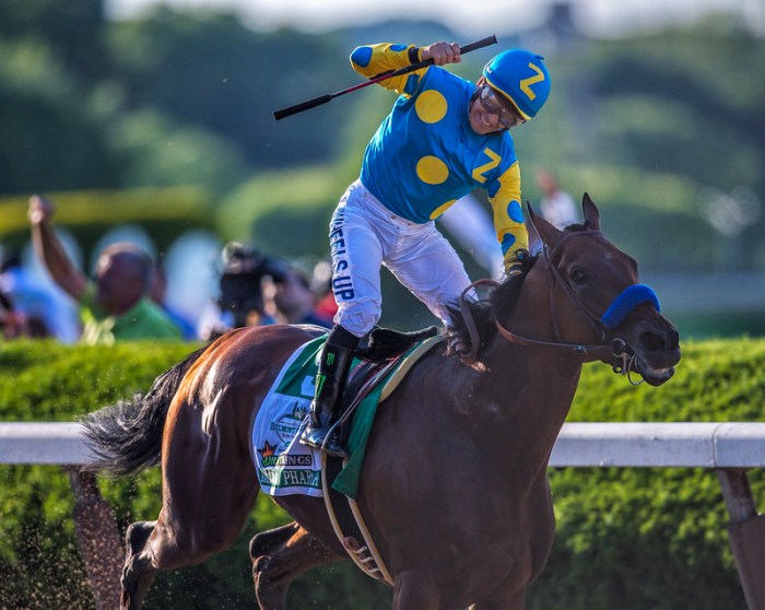 Jockey Victor Espinoza, wearing blue silks with yellow dots and a yellow 'z,' celebrates aboard American Pharoah after winning the Triple Crown at Belmont Park.