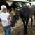 Bob Baffert, wearing a white button-down shirt and jeans, stands in his barn area at Saratoga Race Course, holding the gray/roan horse Arrogate and toying with the horse's forelock