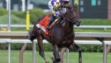 Englishman, a bay colt ridden by José Ortiz wearing silks adorned with purple and yellow diamonds, approaches the finish line at Saratoga Race Course en route to winning the Woody Stephens Stakes.