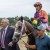 Ned Toffey leads Ted Noffey, his spoonerism namesake and a gray/road horse, into the winner's circle at Saratoga Race Course. Riding Ted Noffey is John Velazquez, wearing silks with purple and orange squares.