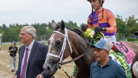 Ned Toffey leads Ted Noffey, his spoonerism namesake and a gray/road horse, into the winner's circle at Saratoga Race Course. Riding Ted Noffey is John Velazquez, wearing silks with purple and orange squares.