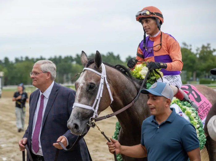 Ned Toffey leads Ted Noffey, his spoonerism namesake and a gray/road horse, into the winner's circle at Saratoga Race Course. Riding Ted Noffey is John Velazquez, wearing silks with purple and orange squares.